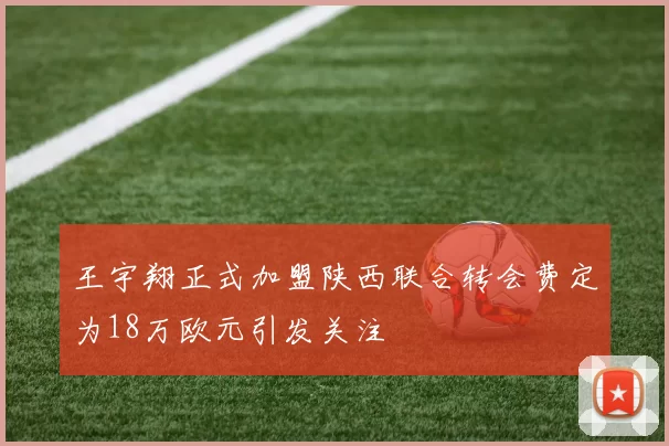 王宇翔正式加盟陕西联合转会费定为18万欧元引发关注