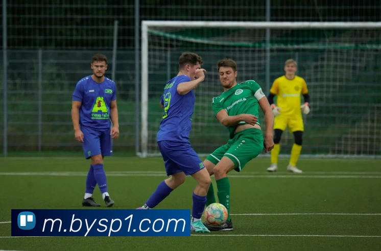 博鱼体育平台生态图